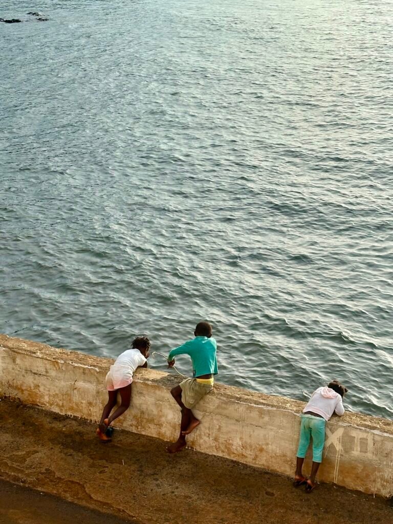 O mundo imaginário, 2024