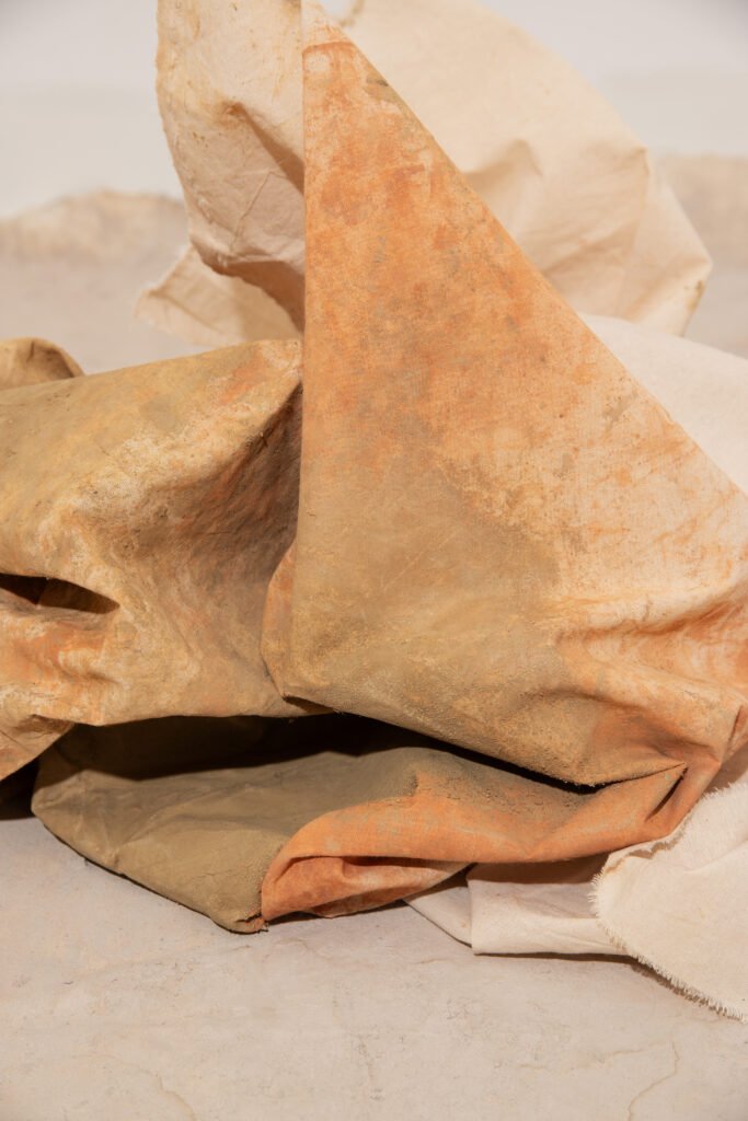 Anna Nunes van den Hoven